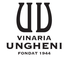 logo png